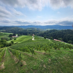 Buschenschank Blitz Tour in Gamlitz (13.09.2025)